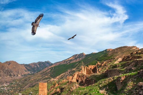 Полет на параплане в Дагестане