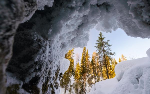 Экскурсия в Пинежский заповедник из Архангельска