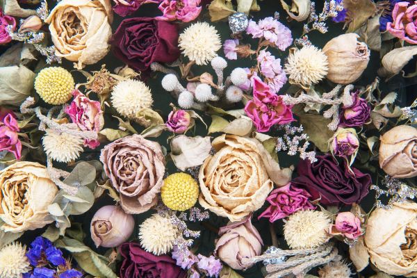 Цветочные мастер-классы в студии Art & Botanika