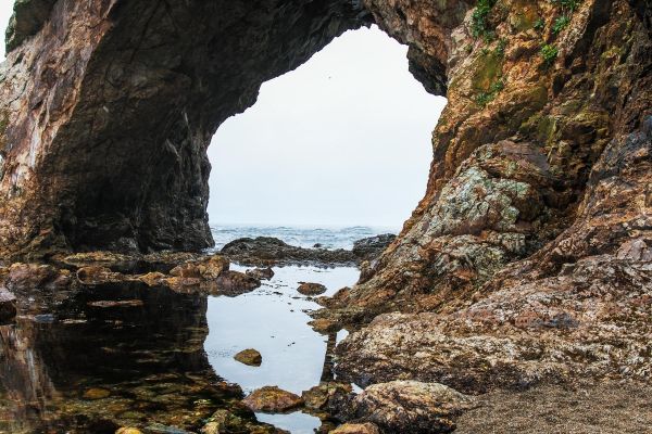 Тур на Сахалин: Бухта Тихая, мыс Великан и устрицы озера Буссе