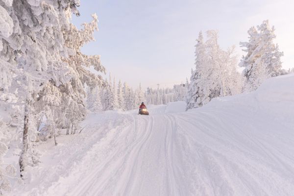 Свидание в Шерегеше с экскурсией на снегоходах