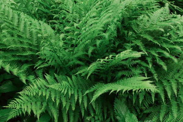 Каменный город и Усьвинские столбы: экскурсия из Перми