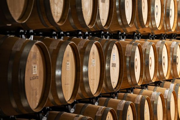 Экскурсия с дегустацией на винодельню «Долина Лефкадия»