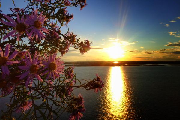 На яхте по Амуру: экскурсия до Казакевичево из Хабаровска