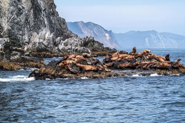 Тур на Камчатку на 8 дней: Курильское озеро, вулканы, гейзеры