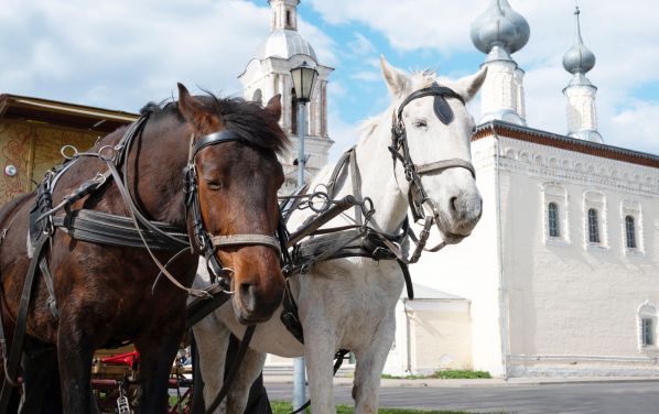 Экскурсия по Суздалю в конном экипаже
