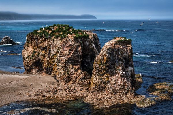 Экскурсия на мысы Птичий и Великан из Южно-Сахалинска