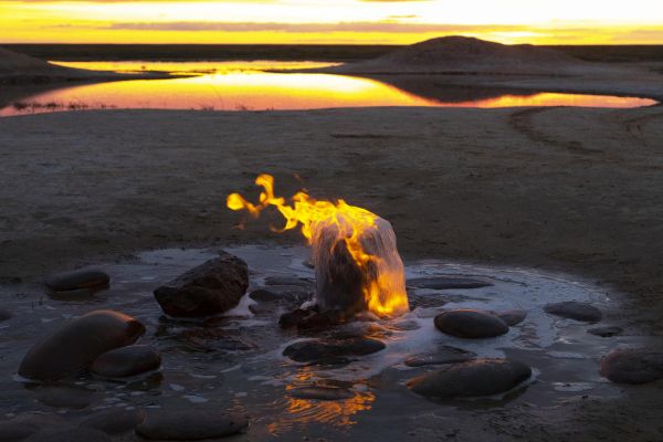 Тур в Калмыкию на 4 дня с посещением лотосовых полей