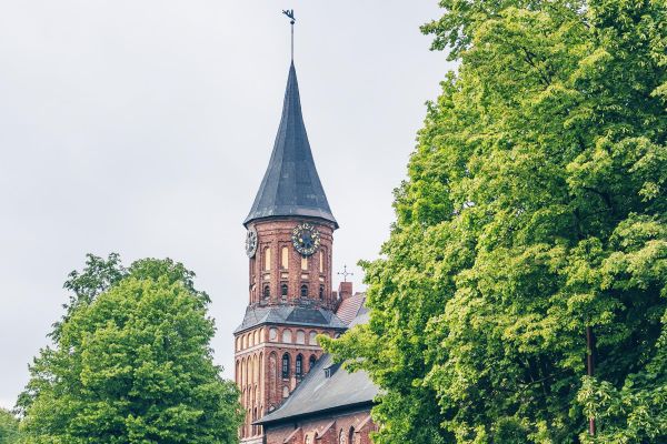 Экскурсия и органный концерт в Кафедральном соборе