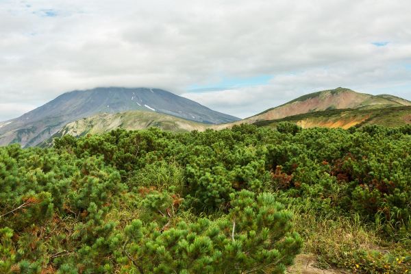 Экскурсия на Вилючинский перевал и горячие источники