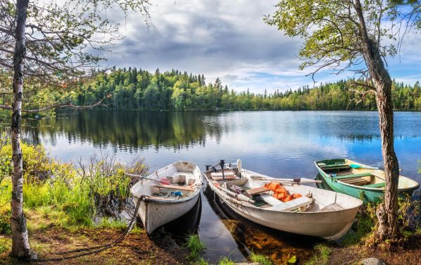 Летний тур в Архангельск и на Соловки на 5 дней