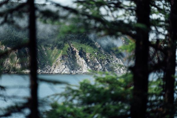 Тур на Шантарские острова на 9 дней из Хабаровска