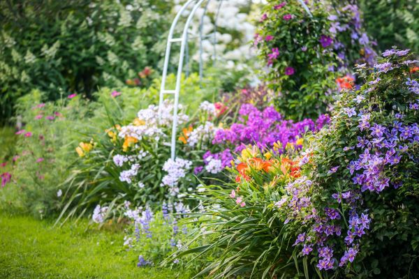 Экскурсия с чаепитием в сад и дом-музей Ракицкого в Тарусе