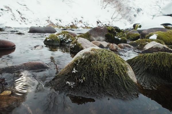 Зимняя экскурсия на Карымшинские источники