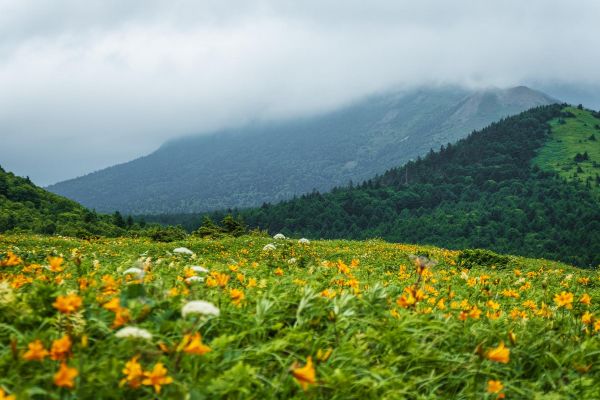 Тур на Сахалин: Бухта Тихая, мыс Великан и устрицы озера Буссе