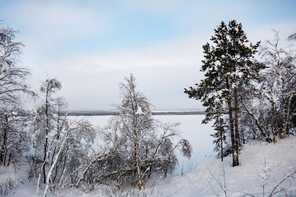 Лыжный тур в Кенозерский национальный парк на 6 дней