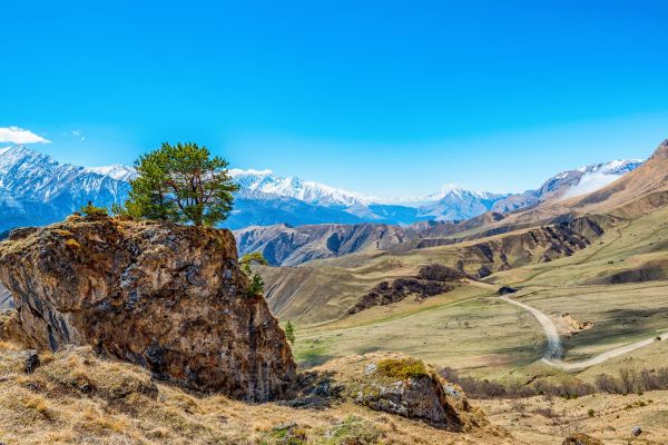 Осетия, Ингушетия, Чечня: тур на Кавказ на 5 дней