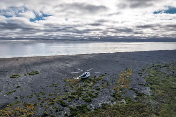 Остров Врангеля, белые медведи и киты: тур на Чукотку на 5 дней