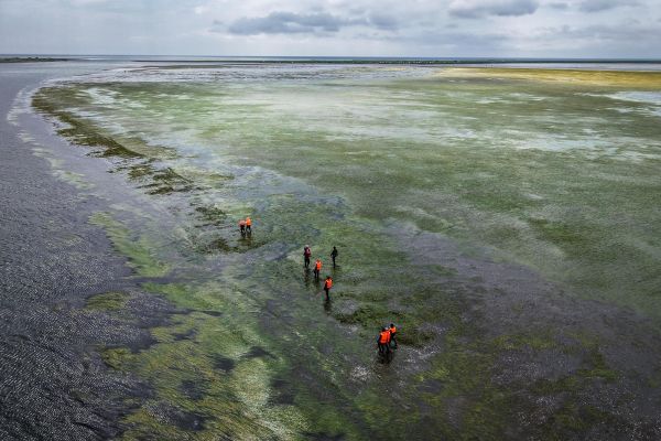Экскурсия с ловлей устрицы в лагуну Буссе из Южно-Сахалинска