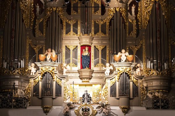 Экскурсия и органный концерт в Кафедральном соборе