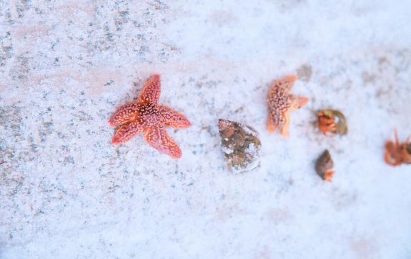 Зимняя рыбалка в Мурманской области