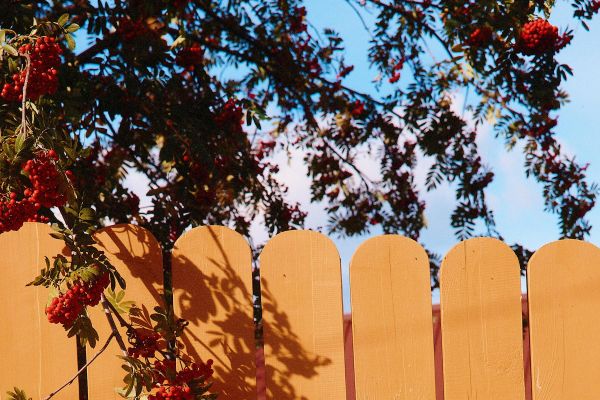 Тур на 3 дня: избинг в Мариинске и стрит-арт в Екатеринбурге