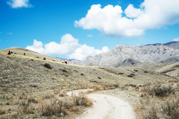 День Республики Тыва