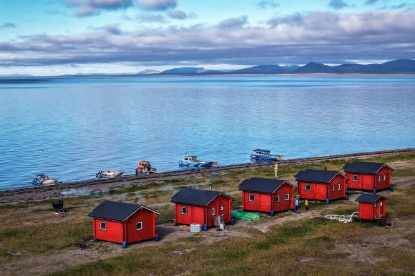 Остров Врангеля, белые медведи и киты: тур на Чукотку на 5 дней