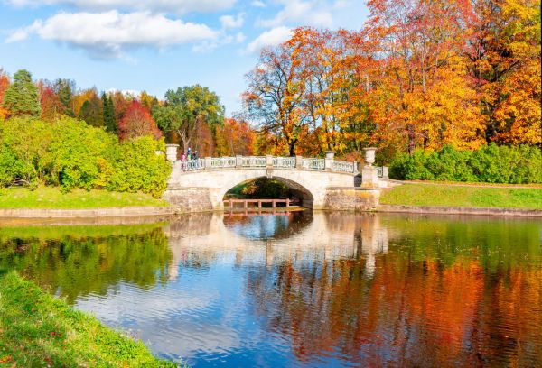 Экскурсия в Пушкин и Павловск из Санкт-Петербурга