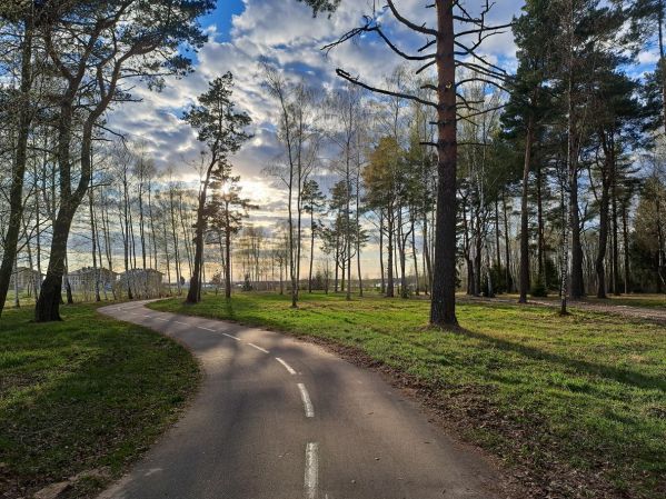 Экскурсия на вертолете в Завидово из Москвы