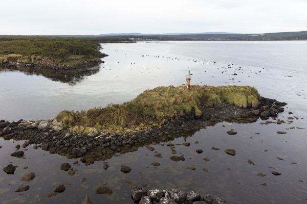 Тур в Хабаровский край на 7 дней: тюлени, шаманы, рыбалка