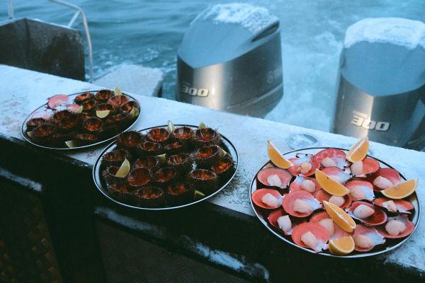 Гастрономическая экскурсия в Териберку из Мурманска