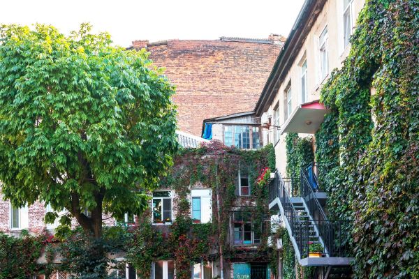 Экскурсия по «китайскому кварталу» Миллионка