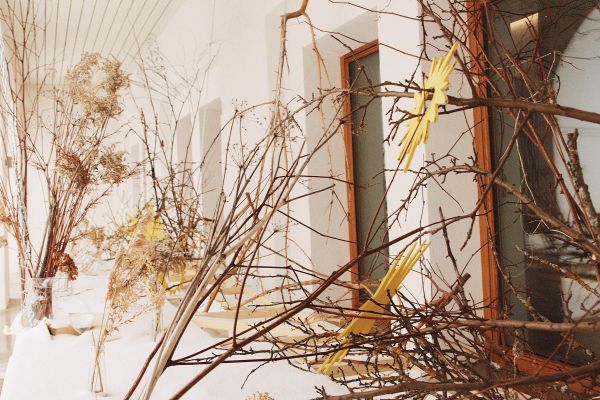 Экскурсия в МИРА Центр в Суздале