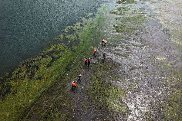 Экскурсия с ловлей устрицы в лагуну Буссе из Южно-Сахалинска