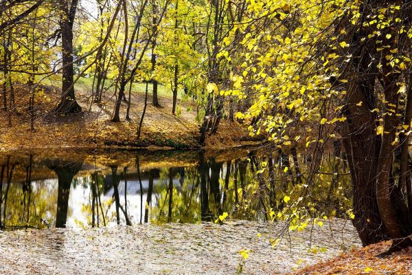 Экскурсия в Большое Болдино из Нижнего Новгорода