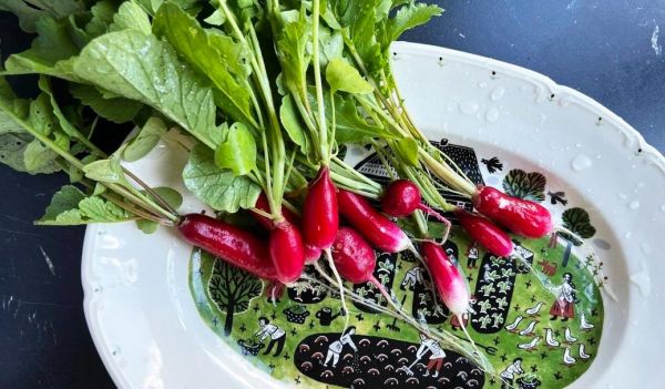 Мастер-классы в студии «Дымов Керамика»