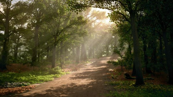 Экскурсия из Дербента в Самурский лес