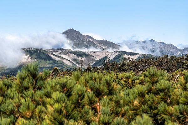 Тур на Камчатку на 8 дней: Курильское озеро, вулканы, гейзеры