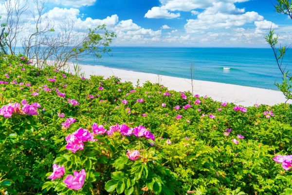 Тур на выходные в Калининград: янтарь, Куршская коса и Балтийское море