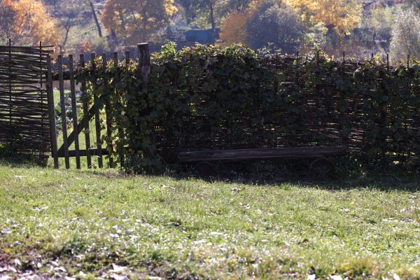 Экскурсия по Ясной Поляне с посещением Дома-музея Л. Н. Толстого