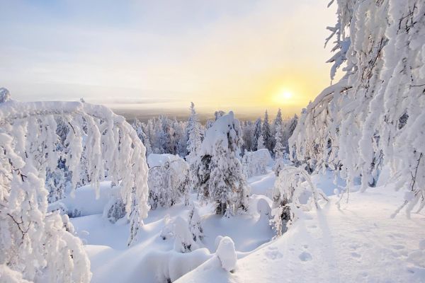 Тур на 2 дня: сплав по Чусовой, Усьвинские столбы и Каменный город