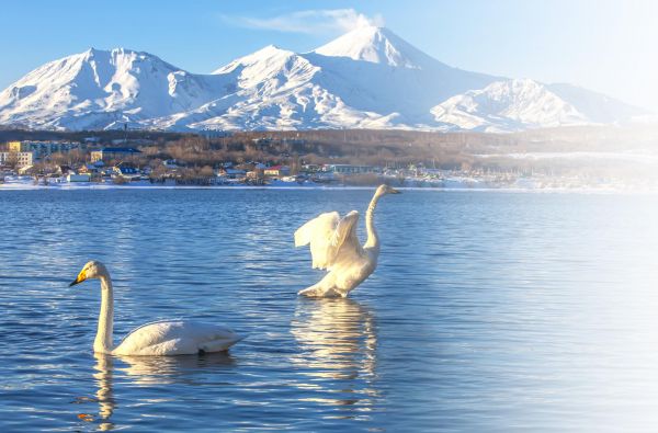 Экскурсия на Халактырский пляж и Халактырское озеро