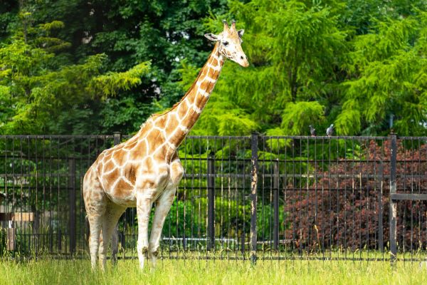 Детские экскурсии в Калининградский зоопарк