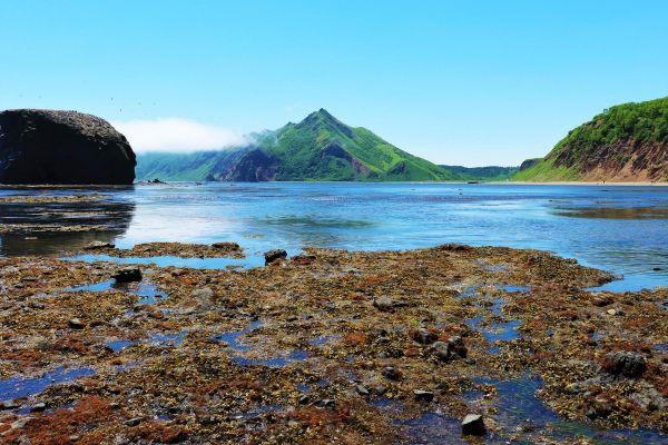 Тур на Сахалин на 7 дней: озеро Буссе, маяк Анива, поселок Взморье
