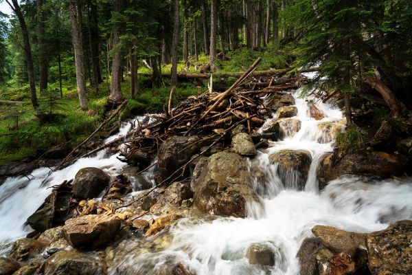 Экскурсия к Белому водопаду на квадроцикле или вездеходе из Архыза