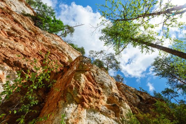 Экскурсия в Тараканий лог из Архангельска