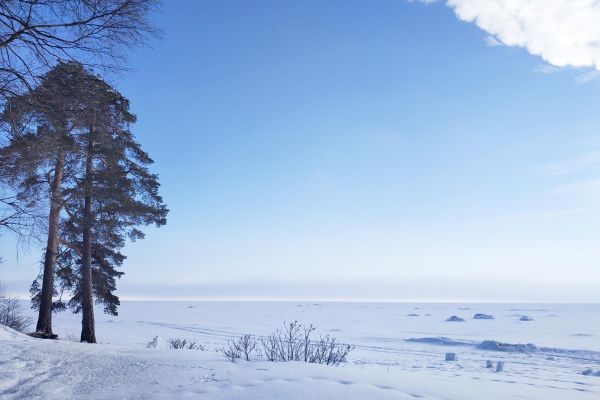 Лыжный тур в Кенозерский национальный парк на 6 дней