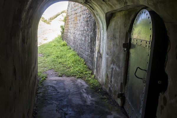 Экскурсия на остров Русский с посещением форта Поспелова и морской фермы