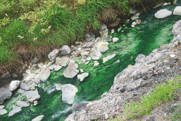 Тур на Сахалин и Итуруп на 8 дней с экскурсиями по Охотскому морю